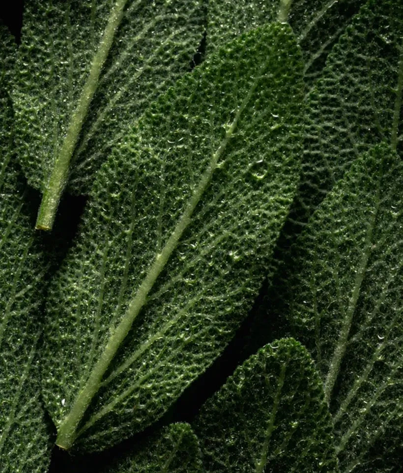 calming down - face mist